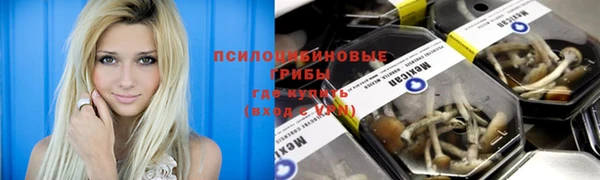 каннабис Дмитров